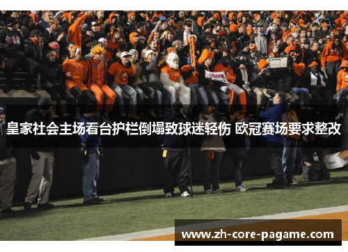 皇家社会主场看台护栏倒塌致球迷轻伤 欧冠赛场要求整改